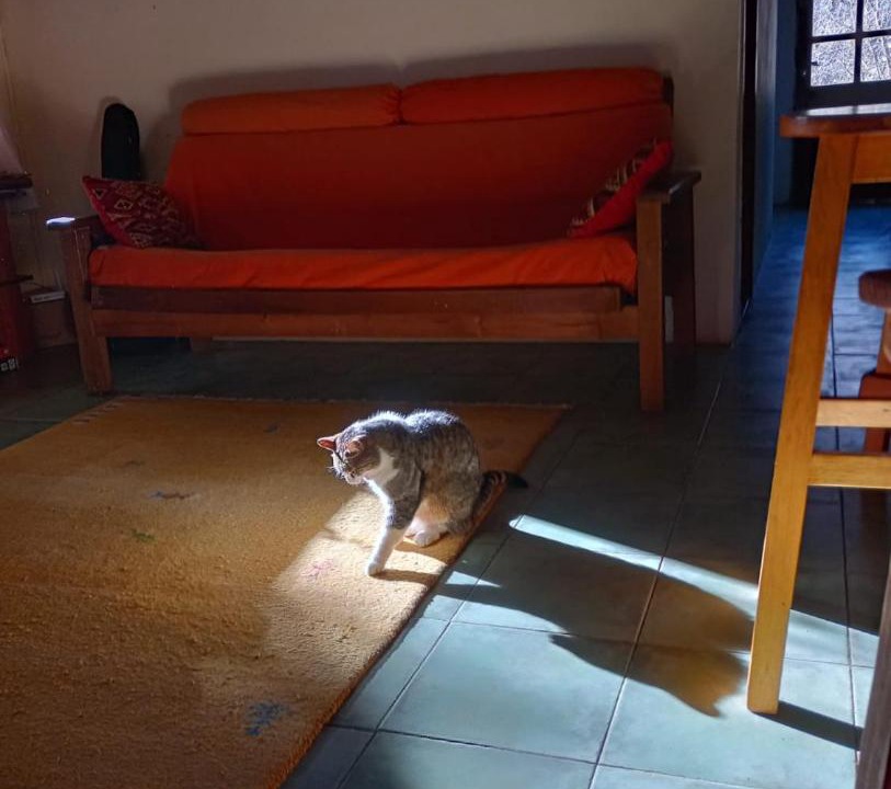 Photo of Others in Villa Los Coihues