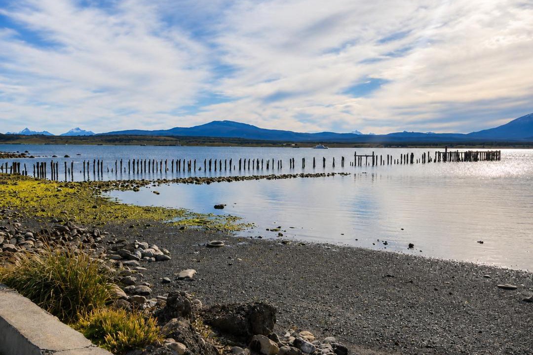 Photo of Others in Puerto Natales