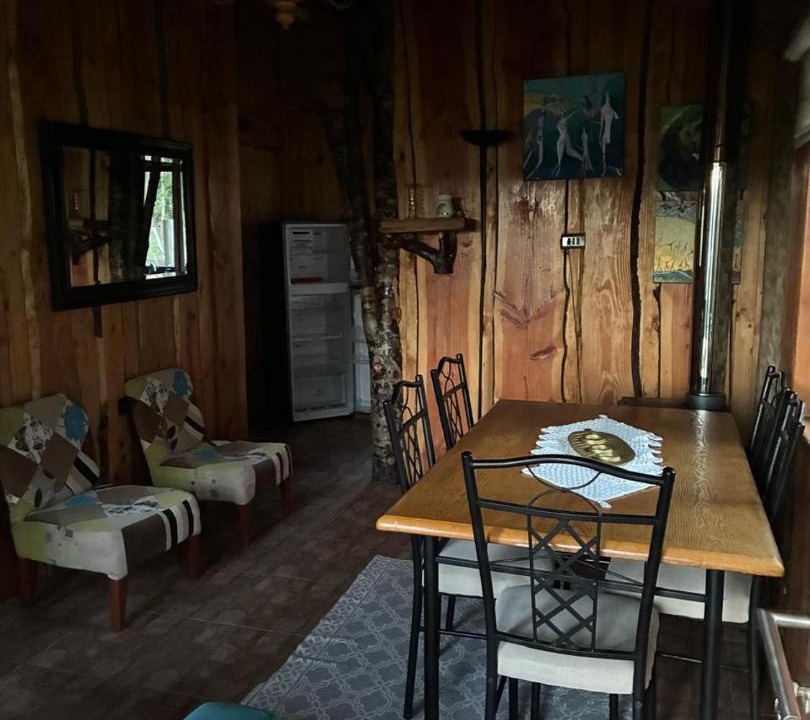 Photo of Others in Pucon