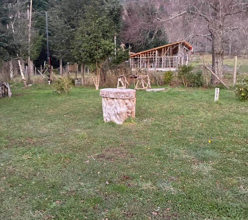 Photo of Others in Pucon
