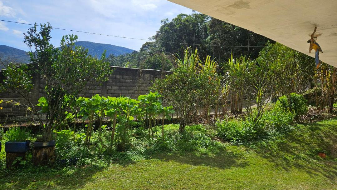 Photo of Others in Moura Brasil