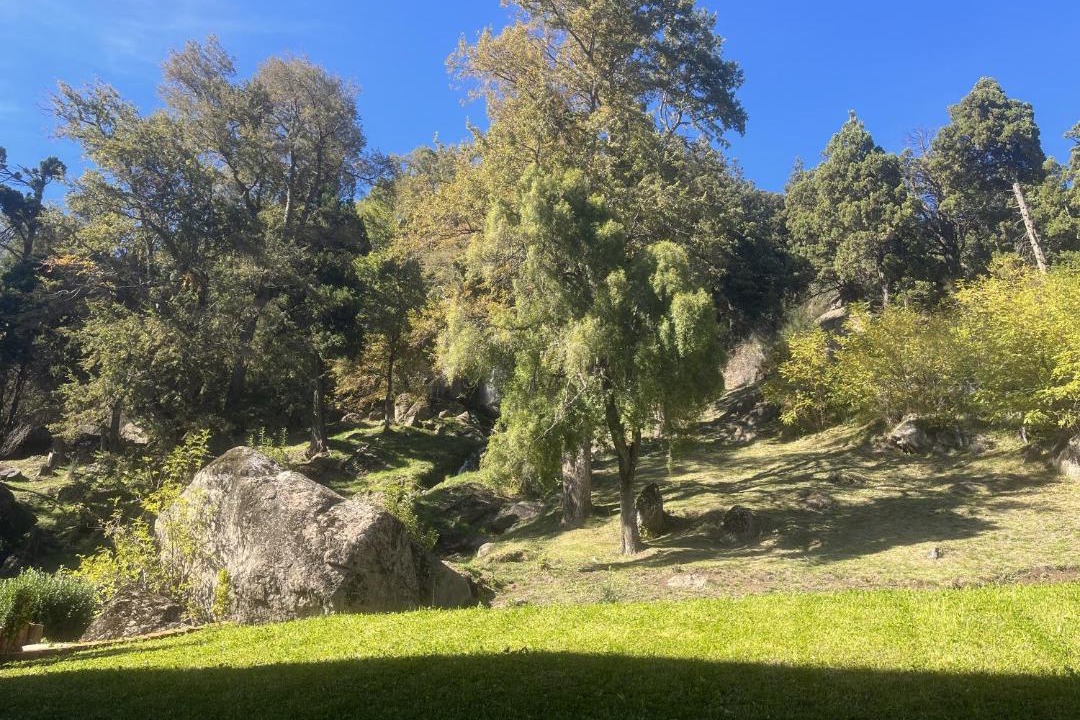 Photo of Others in San Martin de los Andes