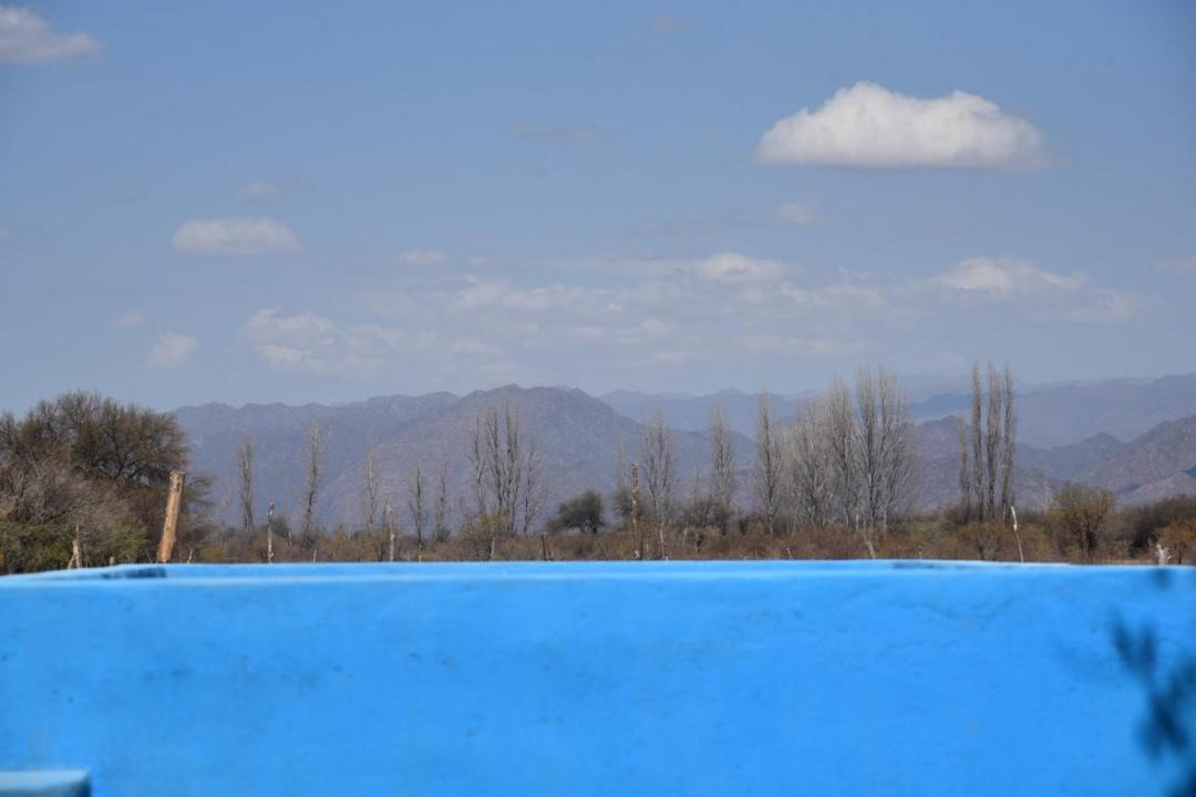 Photo of Others in San Agustin de Valle Fertil