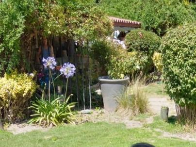 Photo of Others in Pirque