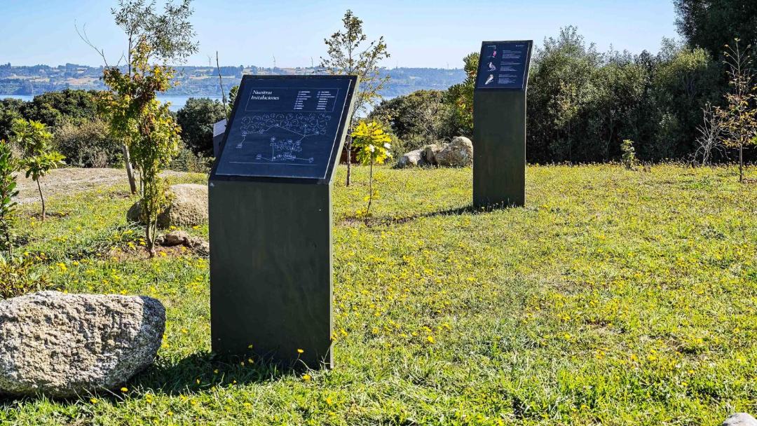 Photo of Others in Frutillar