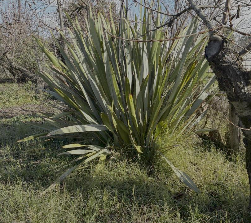 Photo of Others in Diguillin Province