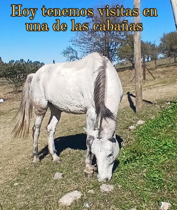 Photo of Others in Huerta Grande