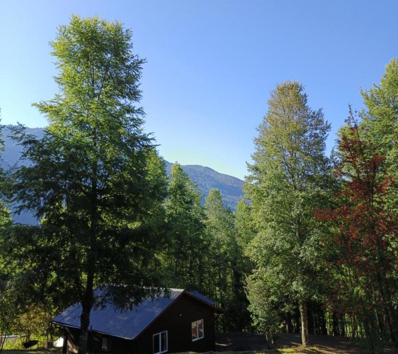 Photo of Others in Pucon