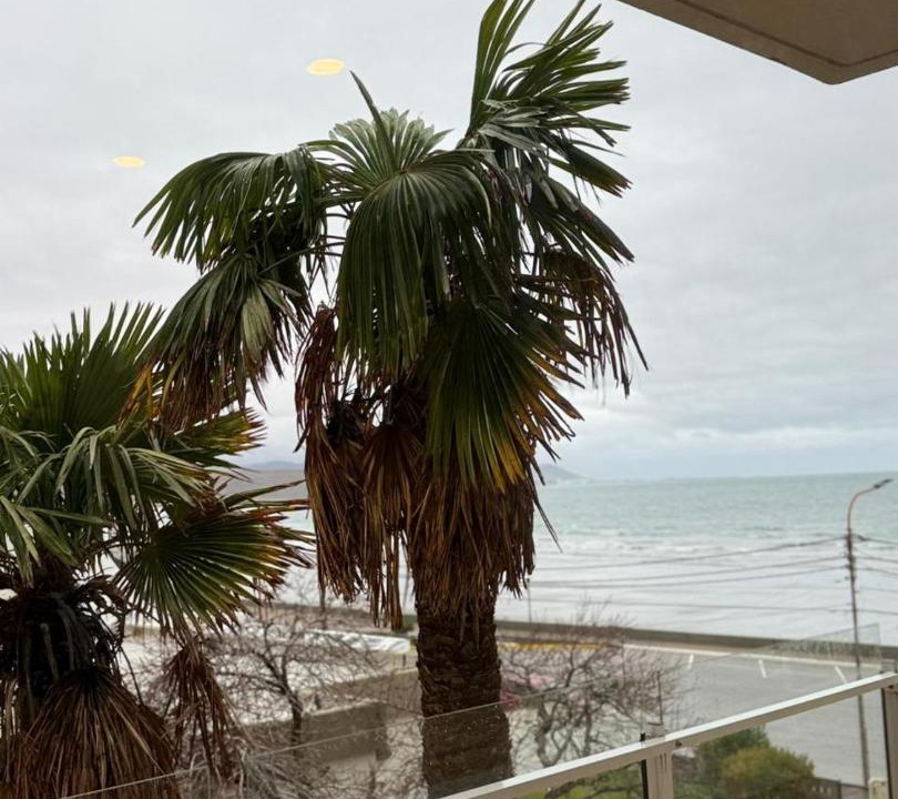 Photo of Others in Rada Tilly