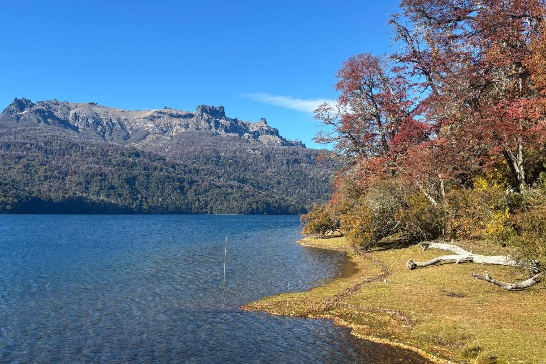 Photo of Others in Lanin National Park