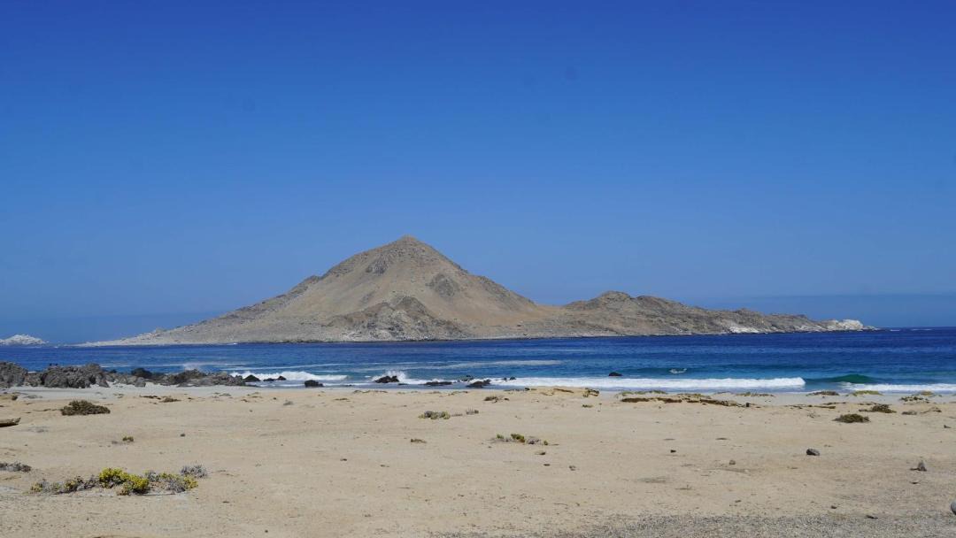 Photo of Others in Chanaral