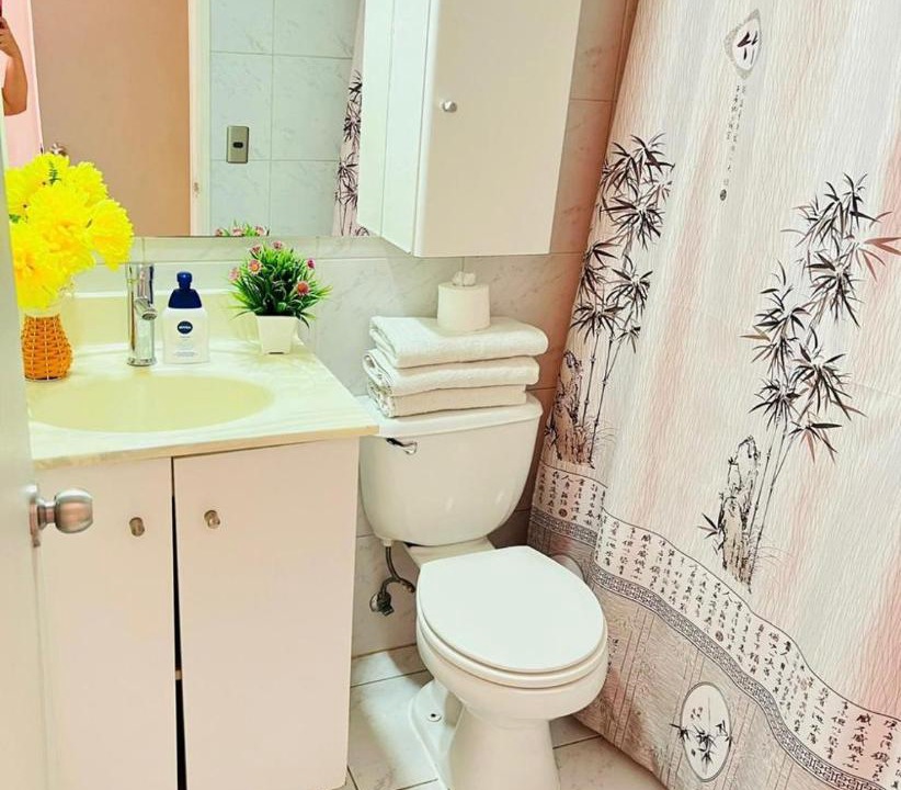 Photo of Bathroom in Bellas Artes