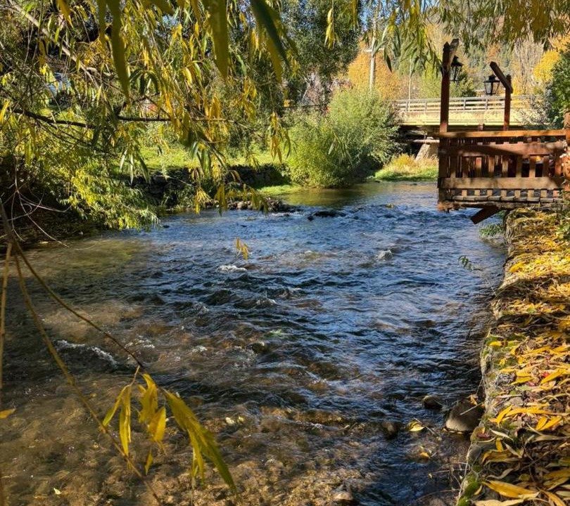 Photo of Others in San Martin de los Andes