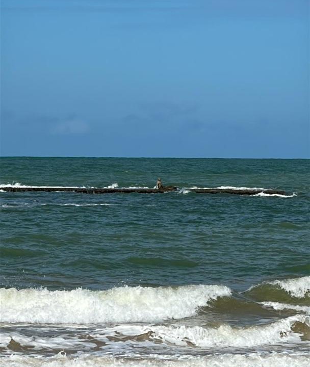 Photo of Others in Conde
