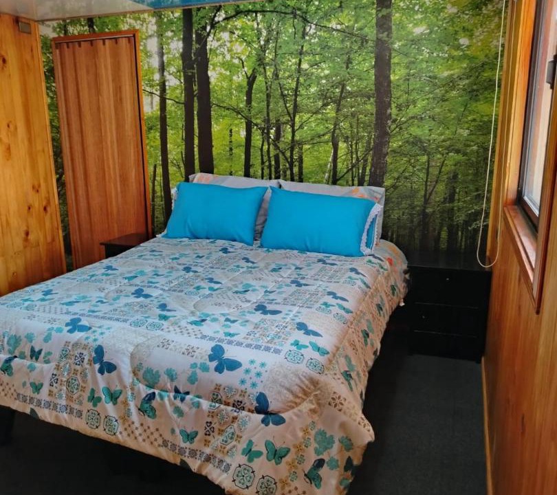 Photo of Bedroom in Puerto Montt