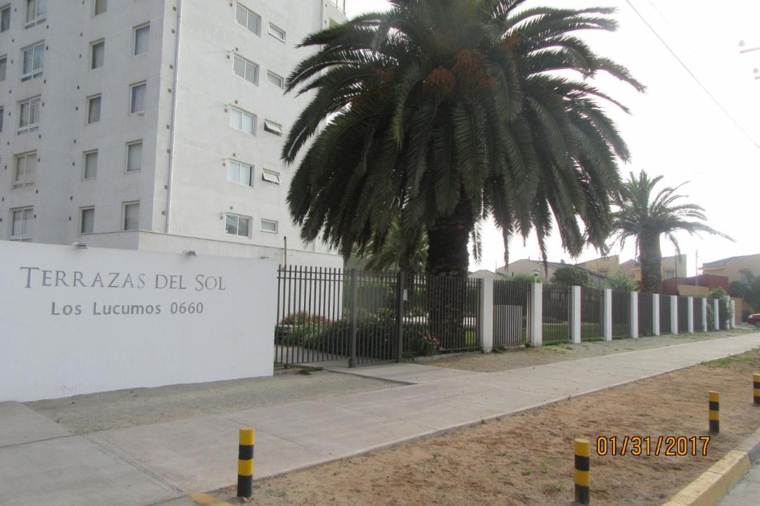 Photo of Others in La Serena