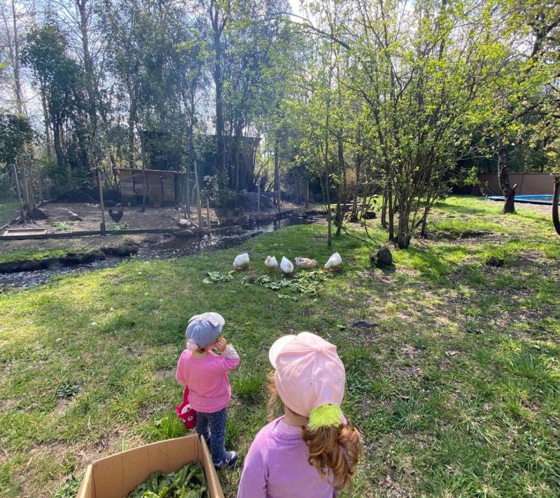 Photo of Others in Molco