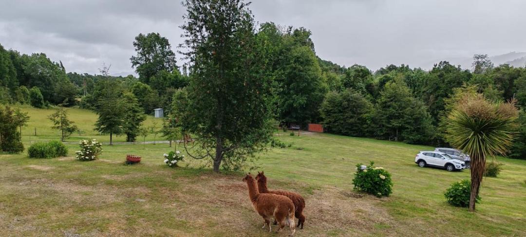 Photo of Others in Panguipulli