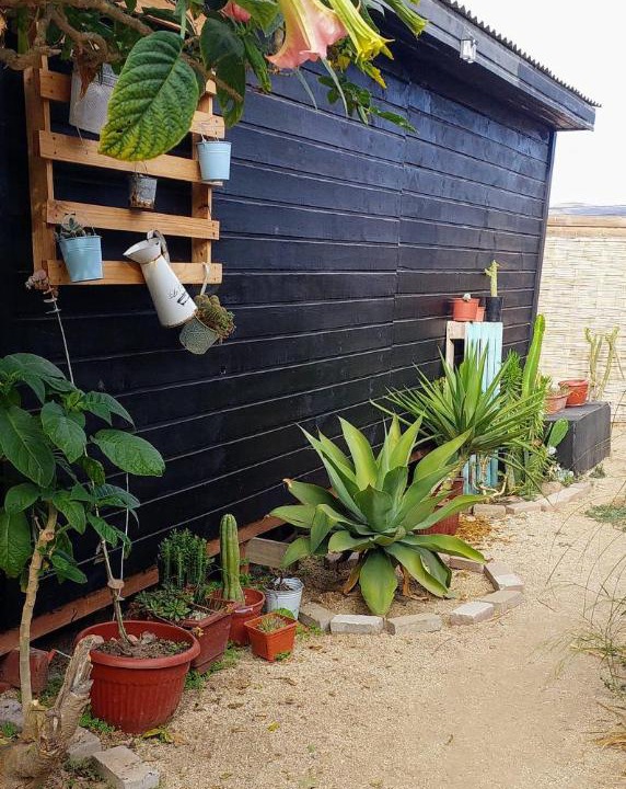 Photo of Others in Coquimbo