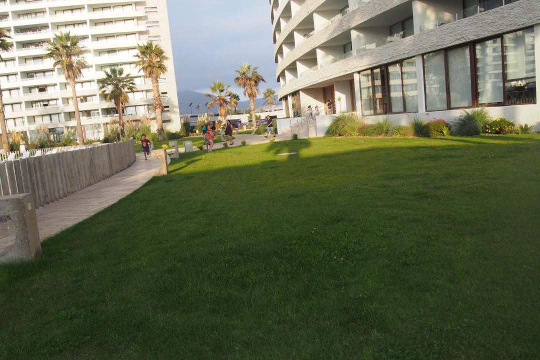 Photo of Others in La Serena