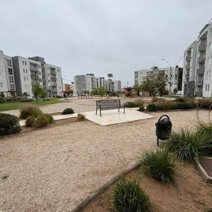 Photo of Others in La Serena