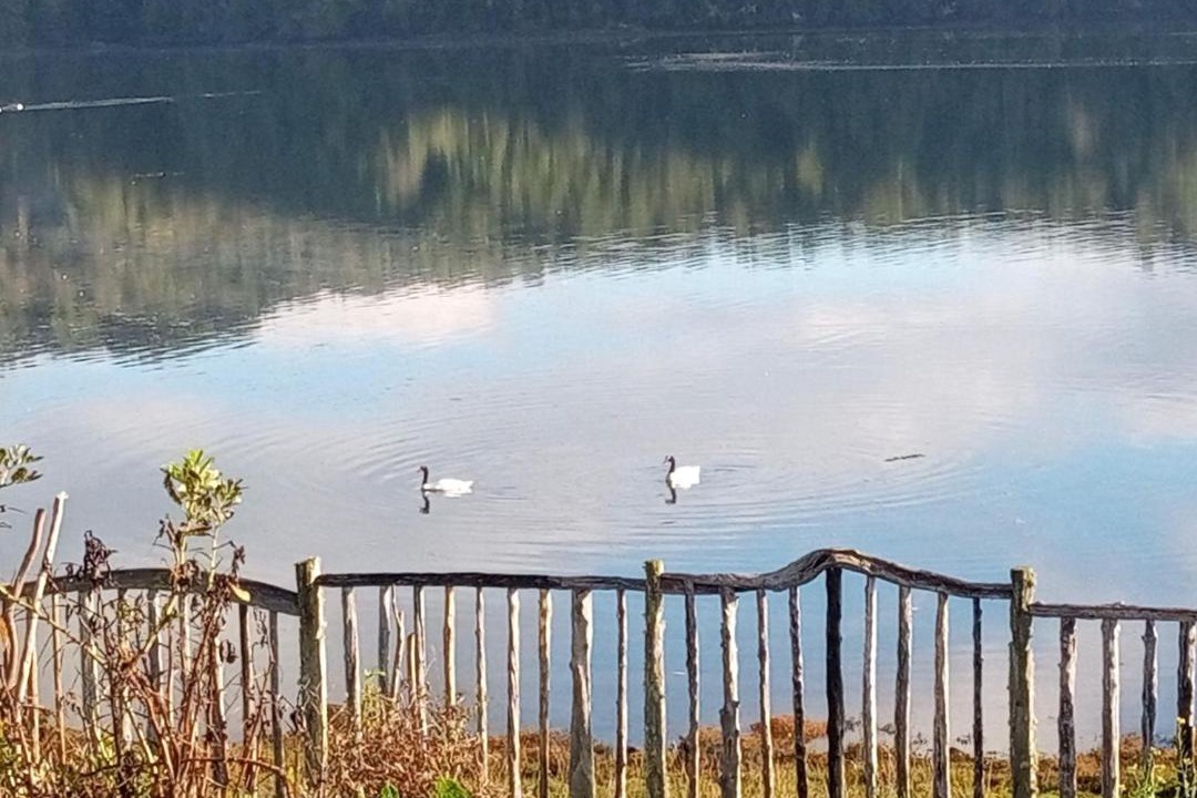 Photo of Others in Chiloe Province