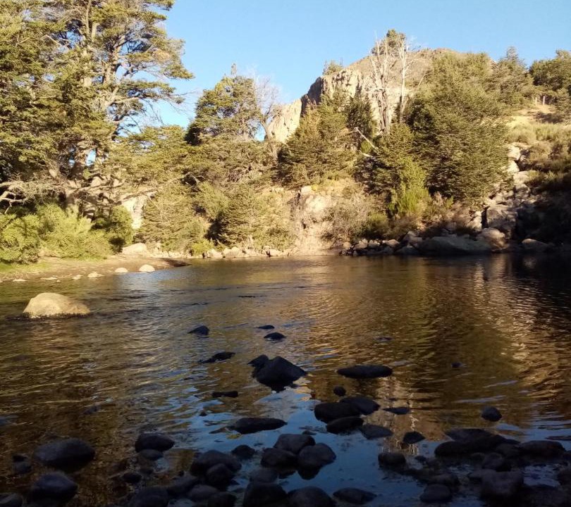 Photo of Others in Lanin National Park