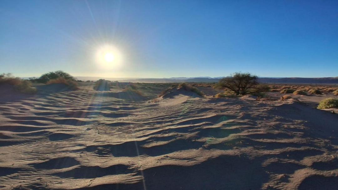 Photo of Others in San Pedro de Atacama