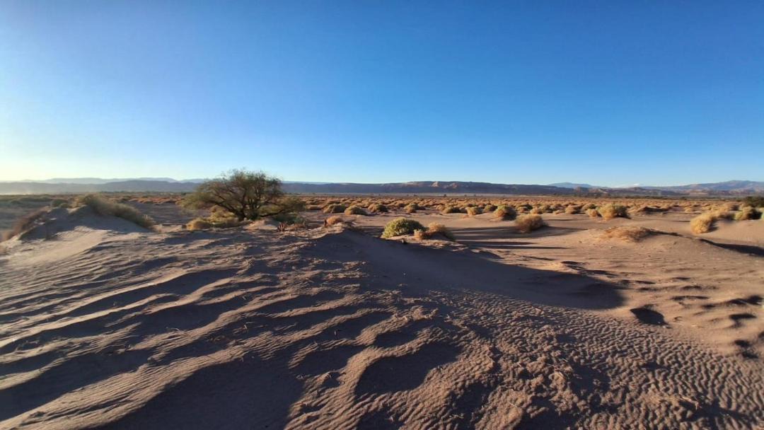 Photo of Others in San Pedro de Atacama