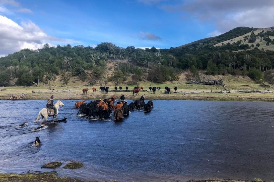 Photo of Others in Natales
