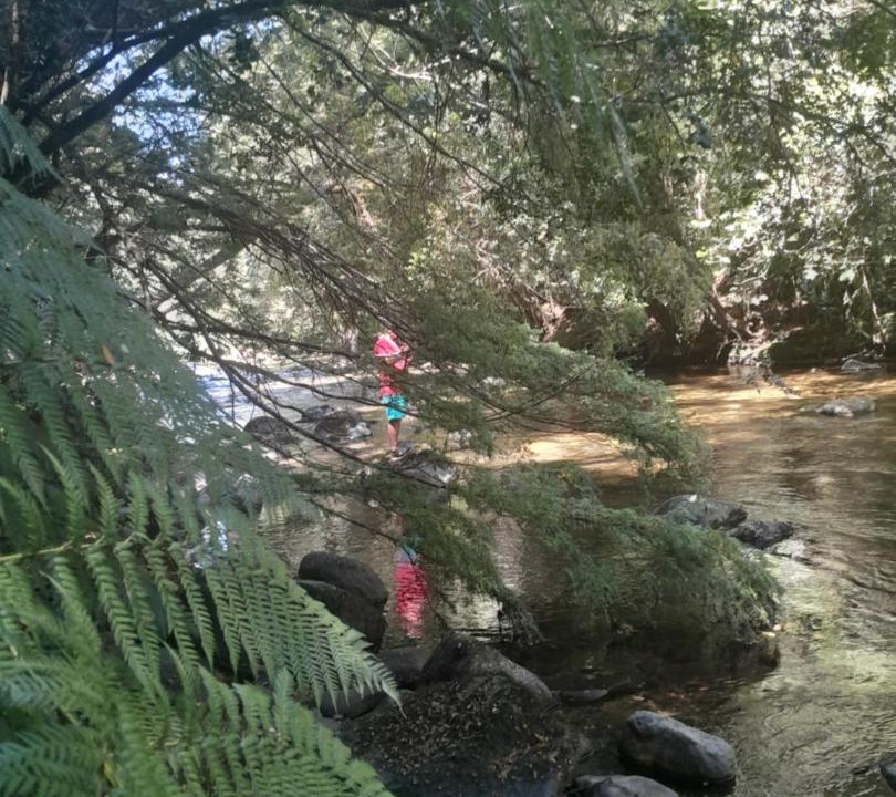 Photo of Others in Collentane