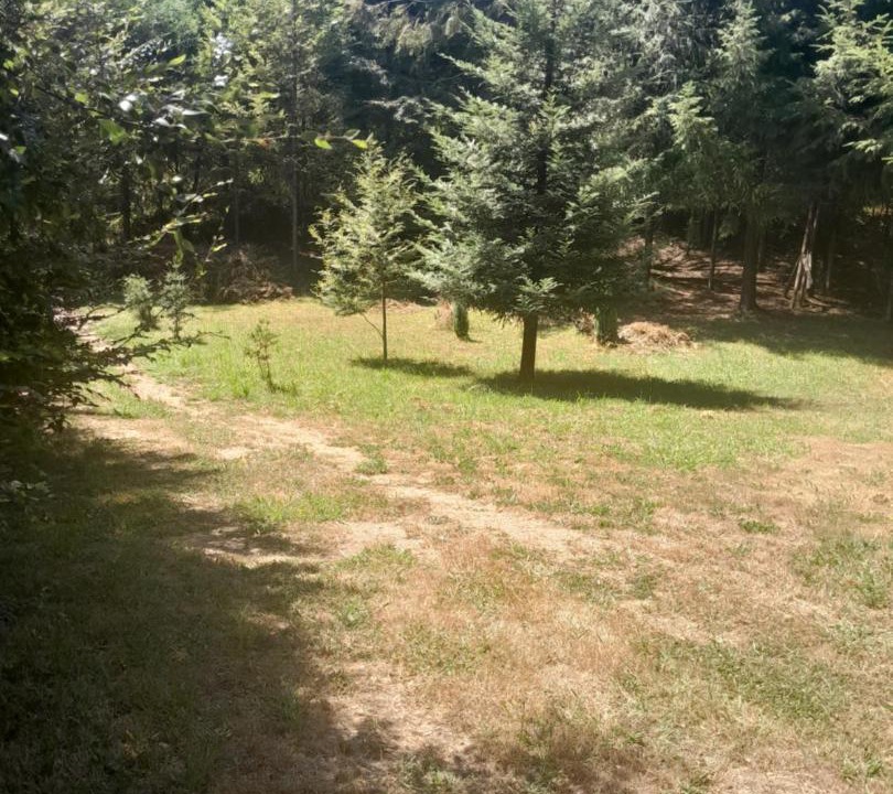 Photo of Others in Collentane