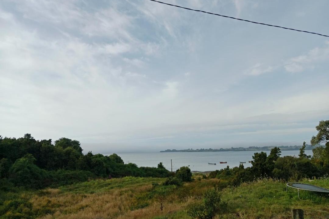 Photo of Others in Ancud