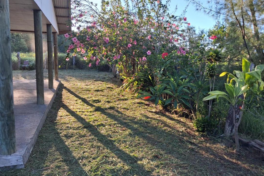 Photo of Others in Hanga Roa