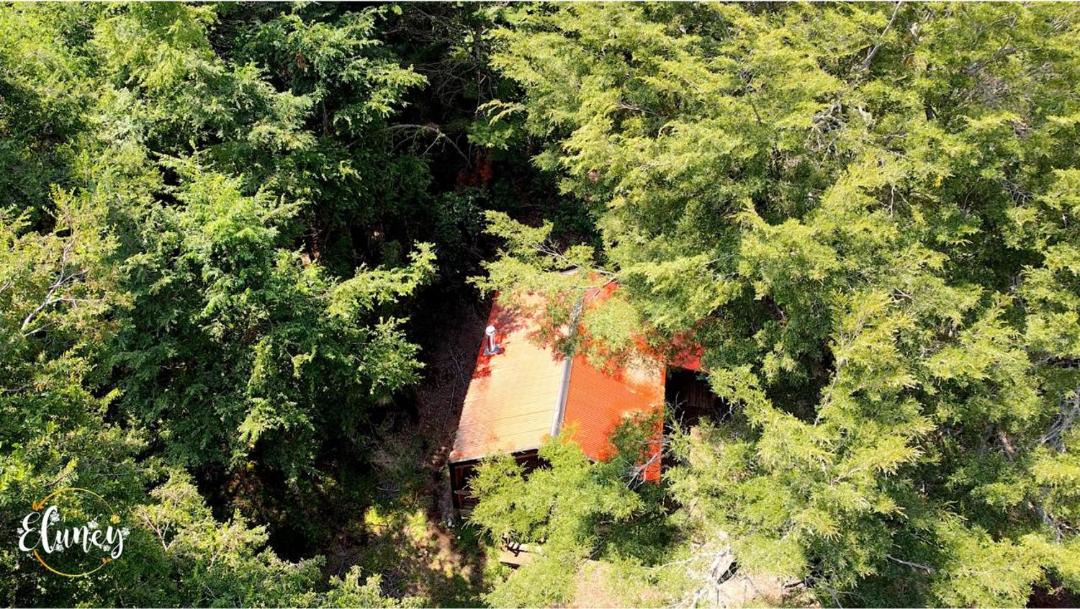 Photo of Others in Palguin Alto