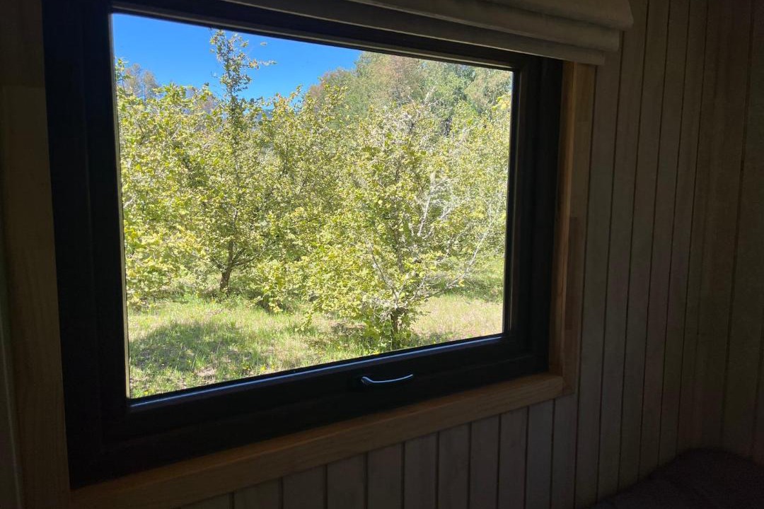 Photo of Others in Gorbea