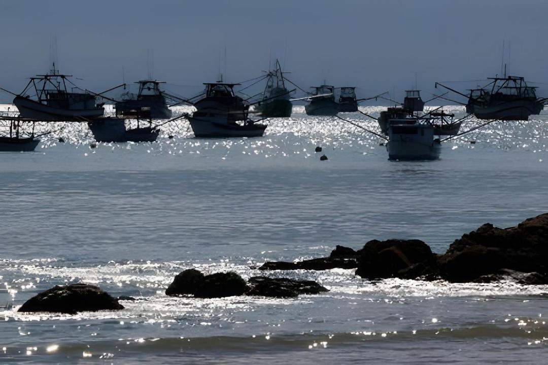 Photo of Others in Praia da Armacao do Itapocoroi