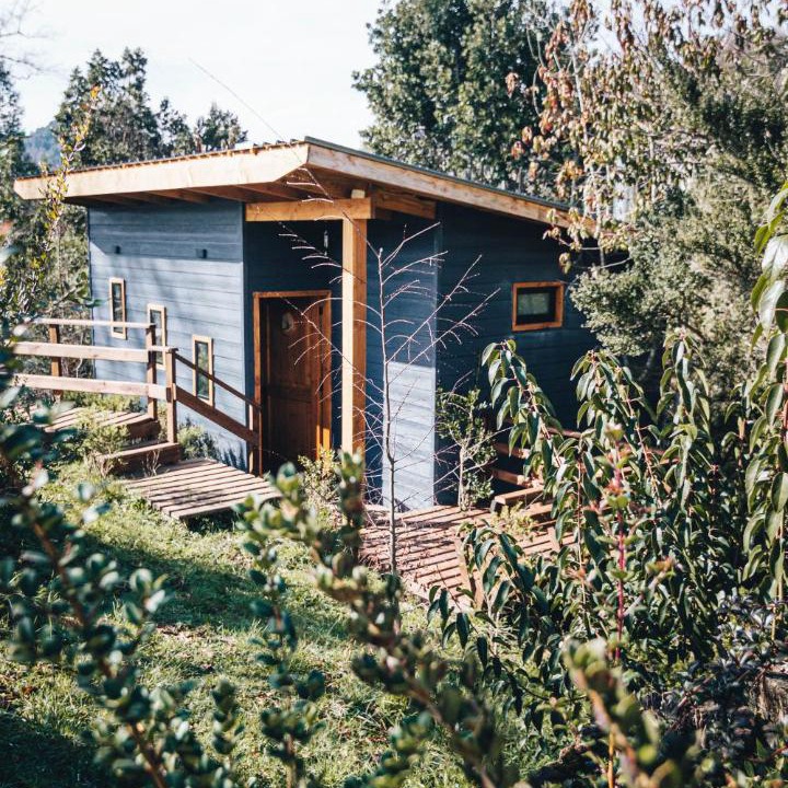 Photo of Others in Panguipulli