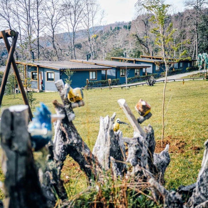 Photo of Others in Panguipulli