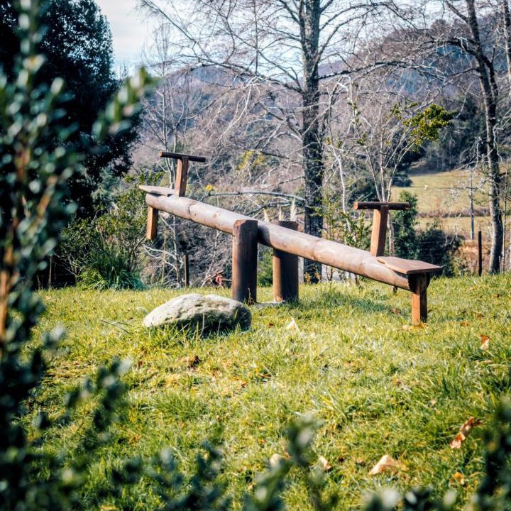 Photo of Others in Panguipulli