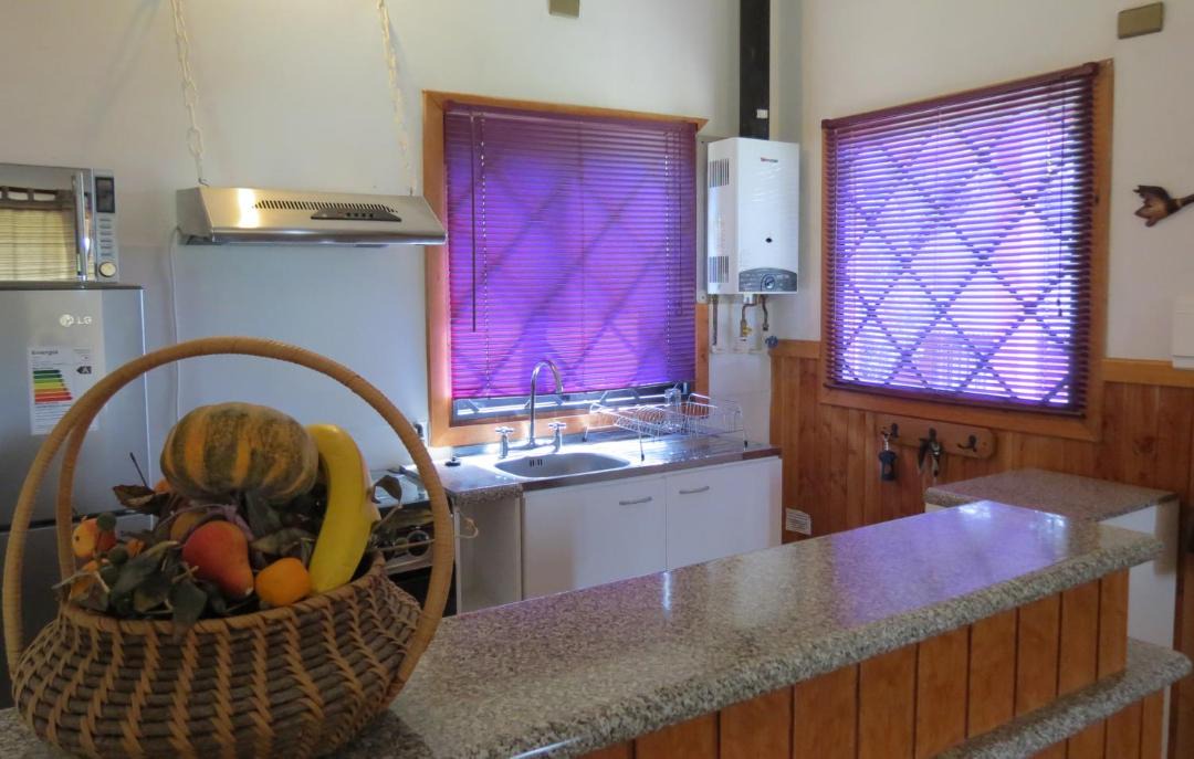 Photo of Kitchen in Caburgua