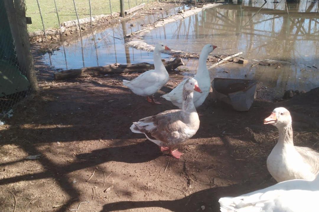 Photo of Others in Lujan
