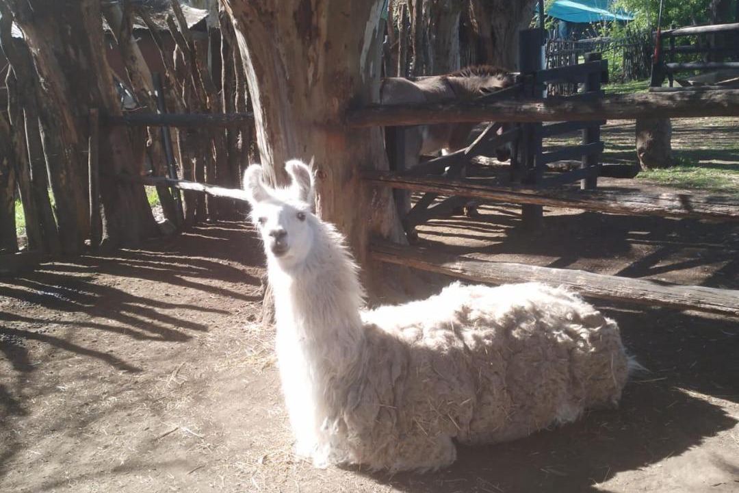 Photo of Others in Lujan