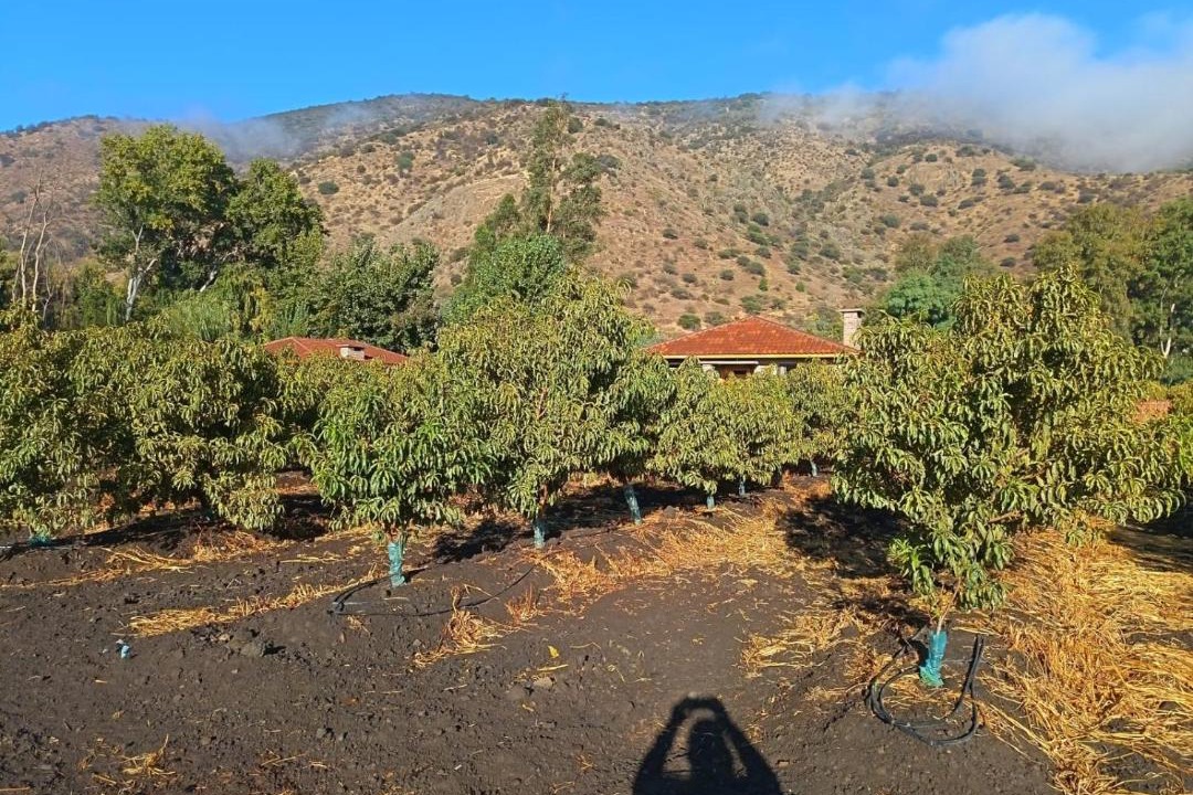 Photo of Others in Malloa