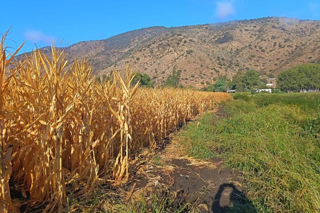 Photo of Others in Malloa