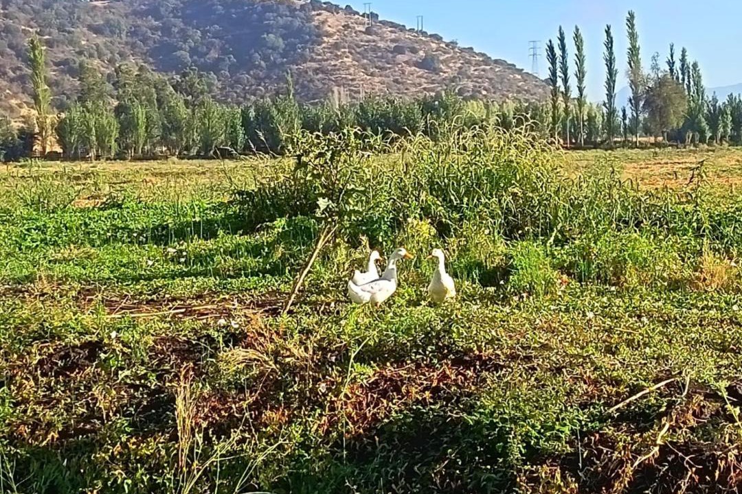 Photo of Others in Malloa