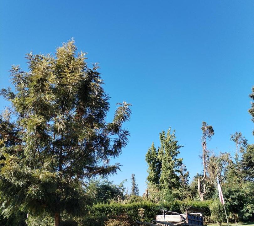 Photo of Others in Pirque