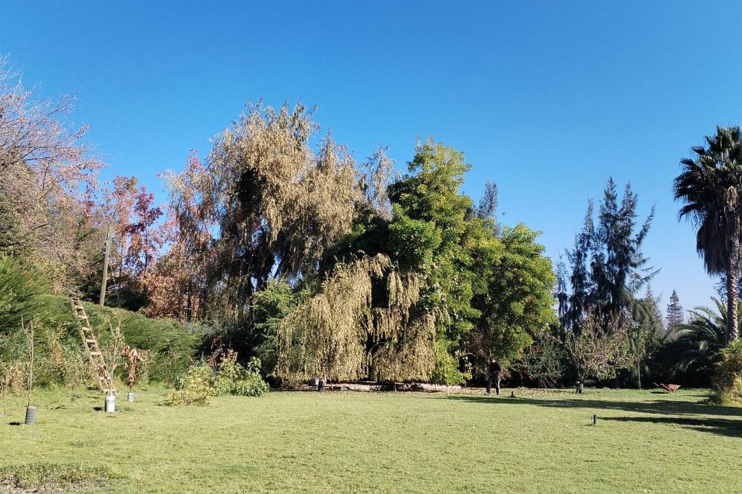 Photo of Others in Pirque
