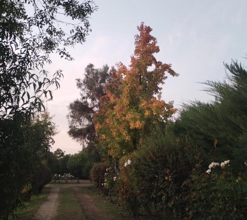 Photo of Others in Pirque