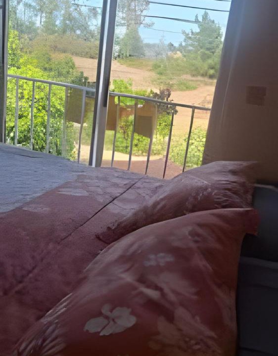 Photo of Others in Algarrobo